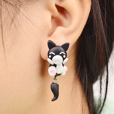 19 ANIMAL